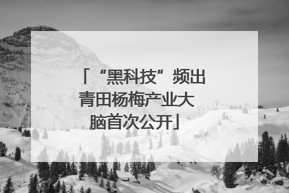 “黑科技”频出 青田杨梅产业大脑首次公开