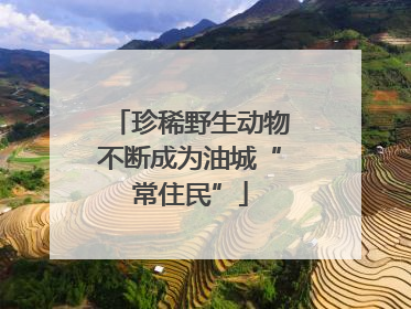 珍稀野生动物不断成为油城“常住民”
