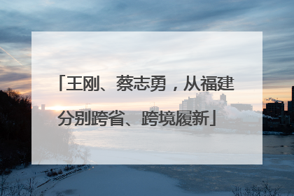 王刚、蔡志勇，从福建分别跨省、跨境履新