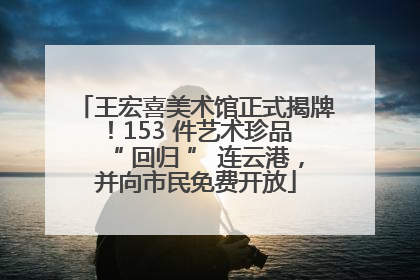 王宏喜美术馆正式揭牌！153 件艺术珍品 “ 回归 ” 连云港，并向市民免费开放