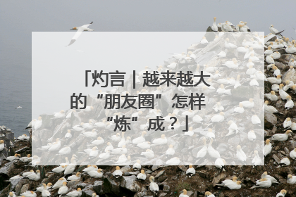 灼言｜越来越大的“朋友圈”怎样“炼”成？