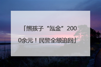 熊孩子“氪金”2000余元！民警全额追回
