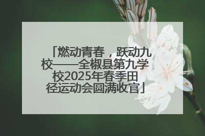 燃动青春，跃动九校——全椒县第九学校2025年春季田径运动会圆满收官