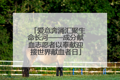 爱意奔涌汇聚生命长河——成分献血志愿者以奉献迎接世界献血者日