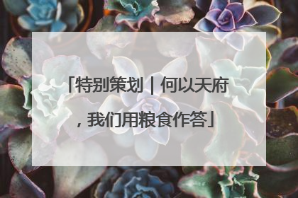 特别策划｜何以天府，我们用粮食作答