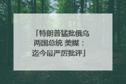 特朗普猛批俄乌两国总统 美媒：迄今最严厉批评