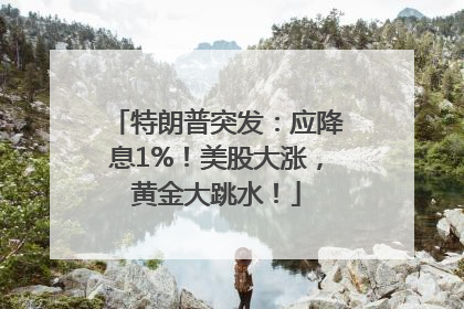 特朗普突发：应降息1%！美股大涨，黄金大跳水！