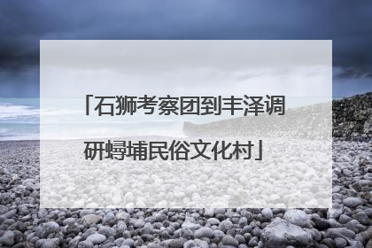 石狮考察团到丰泽调研蟳埔民俗文化村