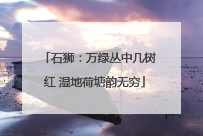 石狮：万绿丛中几树红 湿地荷塘韵无穷