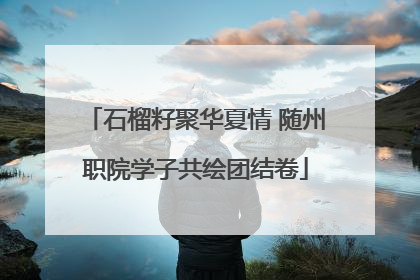 石榴籽聚华夏情 随州职院学子共绘团结卷