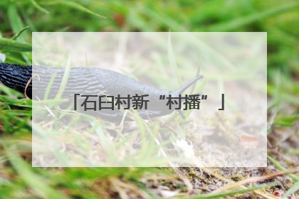 石臼村新“村播”