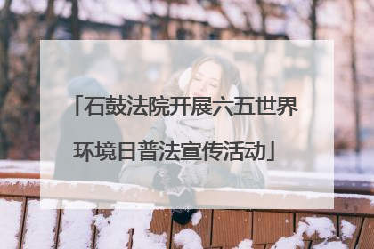 石鼓法院开展六五世界环境日普法宣传活动