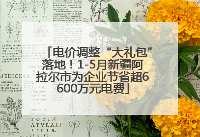电价调整“大礼包”落地！1-5月新疆阿拉尔市为企业节省超6600万元电费