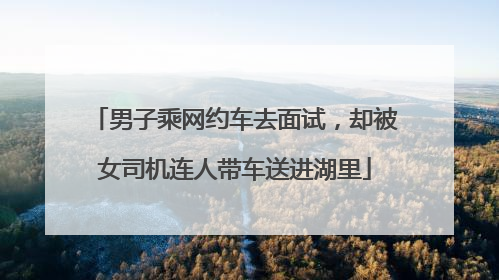 男子乘网约车去面试，却被女司机连人带车送进湖里