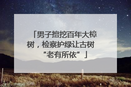 男子擅挖百年大樟树，检察护绿让古树“老有所依”