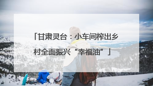 甘肃灵台：小车间榨出乡村全面振兴“幸福油”