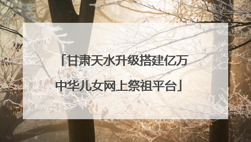 甘肃天水升级搭建亿万中华儿女网上祭祖平台