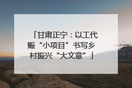甘肃正宁：以工代赈“小项目”书写乡村振兴“大文章”