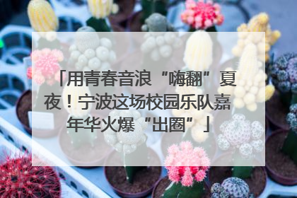用青春音浪“嗨翻”夏夜！宁波这场校园乐队嘉年华火爆“出圈”