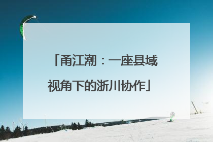 甬江潮：一座县域视角下的浙川协作