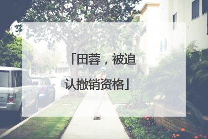 田蓉，被追认撤销资格