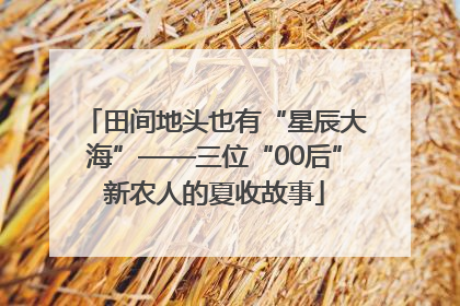 田间地头也有“星辰大海”——三位“00后”新农人的夏收故事