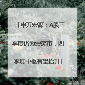 申万宏源：A股三季度仍为震荡市，四季度中枢有望抬升