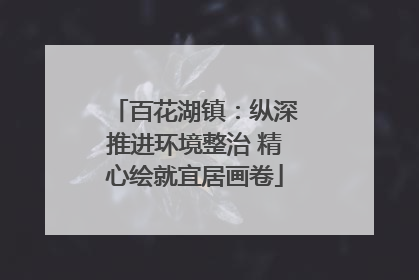 百花湖镇：纵深推进环境整治 精心绘就宜居画卷