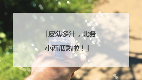 皮薄多汁，北务小西瓜熟啦！