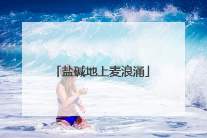 盐碱地上麦浪涌