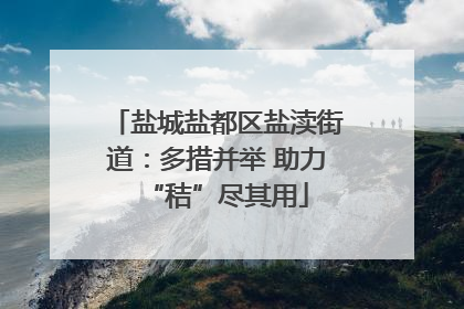 盐城盐都区盐渎街道：多措并举 助力“秸”尽其用