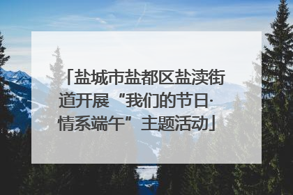盐城市盐都区盐渎街道开展“我们的节日·情系端午”主题活动