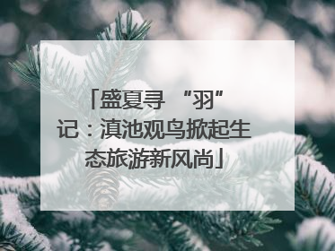 盛夏寻 “羽” 记：滇池观鸟掀起生态旅游新风尚
