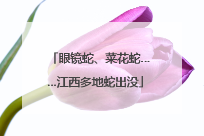 眼镜蛇、菜花蛇……江西多地蛇出没