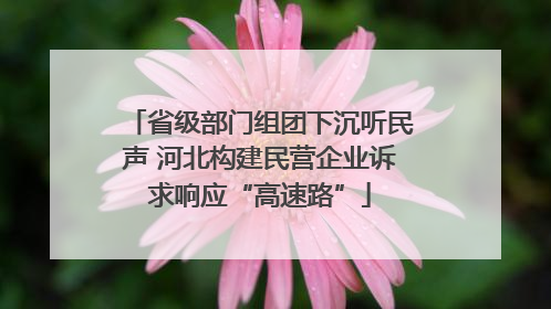 省级部门组团下沉听民声 河北构建民营企业诉求响应“高速路”