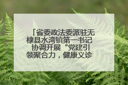 省委政法委派驻无棣县水湾镇第一书记 协调开展“党建引领聚合力，健康义诊惠乡亲”义诊活动