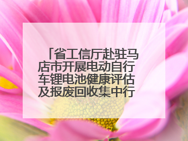 省工信厅赴驻马店市开展电动自行车锂电池健康评估及报废回收集中行动示范点建设调研指导