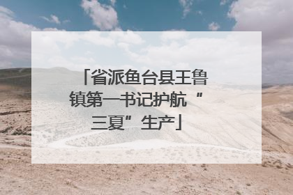 省派鱼台县王鲁镇第一书记护航“三夏”生产