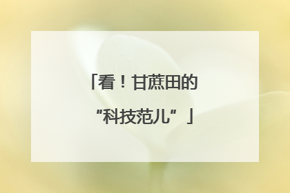 看！甘蔗田的“科技范儿”