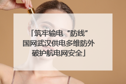 筑牢输电“防线” 国网武汉供电多维防外破护航电网安全