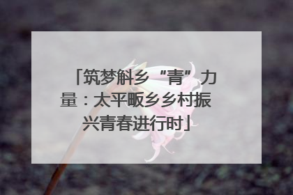 筑梦斛乡“青”力量：太平畈乡乡村振兴青春进行时
