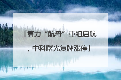 算力“航母”重组启航，中科曙光复牌涨停