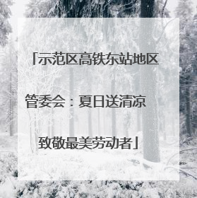 示范区高铁东站地区管委会：夏日送清凉 致敬最美劳动者