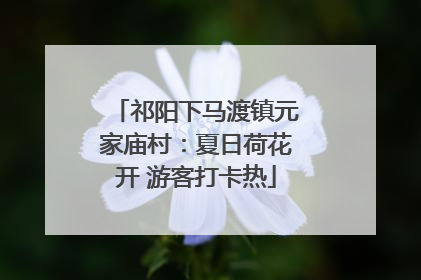 祁阳下马渡镇元家庙村：夏日荷花开 游客打卡热