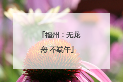 福州：无龙舟 不端午