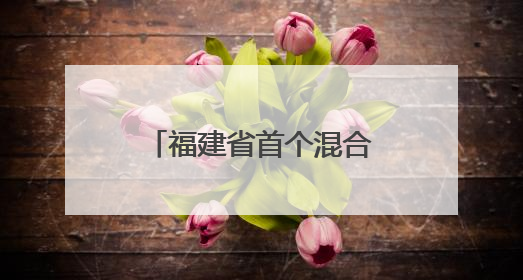 福建省首个混合式抽水蓄能电站主体工程全面开工