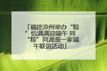 福建漳州举办“粽”情满满迎端午 同“粽”同源是一家端午联谊活动