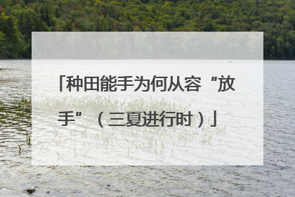 种田能手为何从容“放手”（三夏进行时）