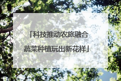 科技推动农旅融合 蔬菜种植玩出新花样