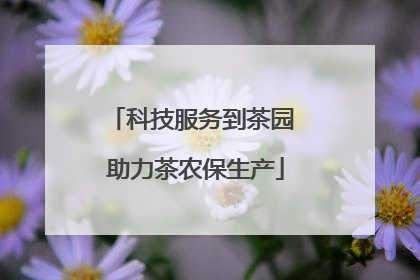 科技服务到茶园 助力茶农保生产